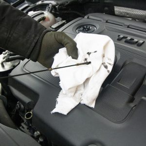 Lube and Oil Filter Service